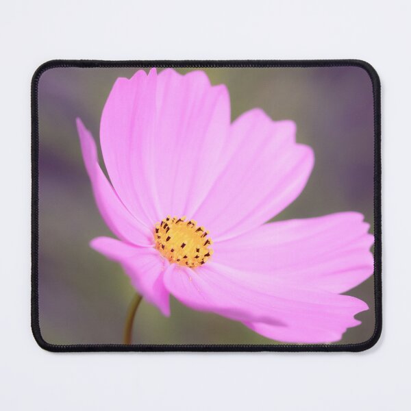 Item preview, Pink Cosmos Flower Portrait designed and sold by Tanya C  Smith.