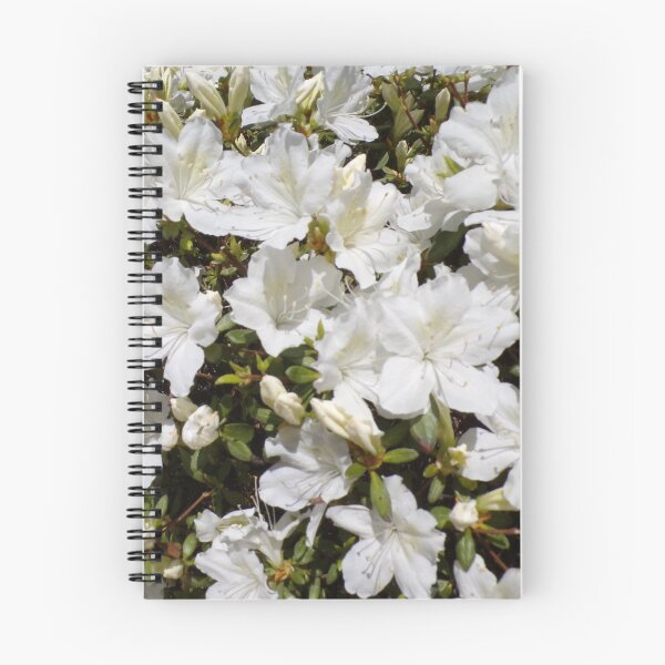 Item preview, Azaleas blancas designed and sold by SquaresArt.
