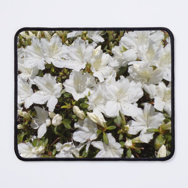 Item preview, White Azaleas designed and sold by SquaresArt.