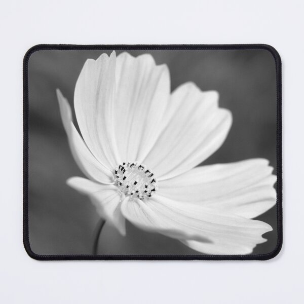 Item preview, Cosmos Flower Portrait In Black And White designed and sold by Tanya C  Smith.