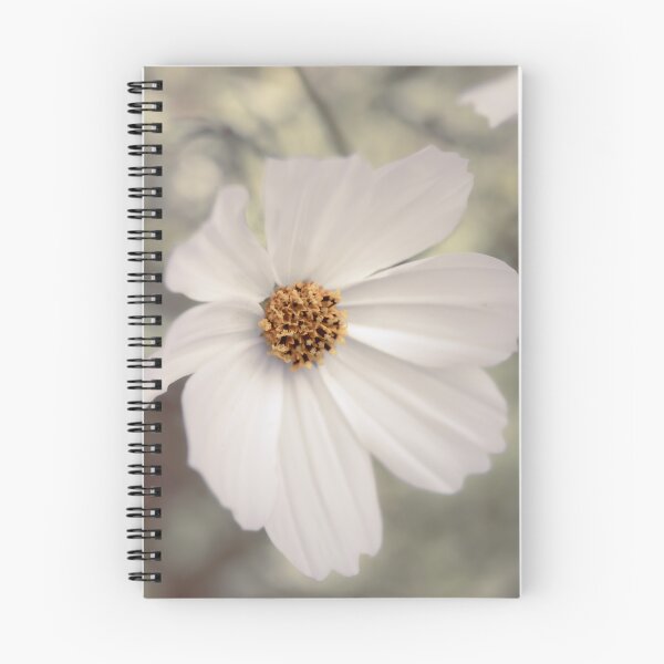 Item preview, White Cosmos Early Vega designed and sold by Tanya C  Smith.
