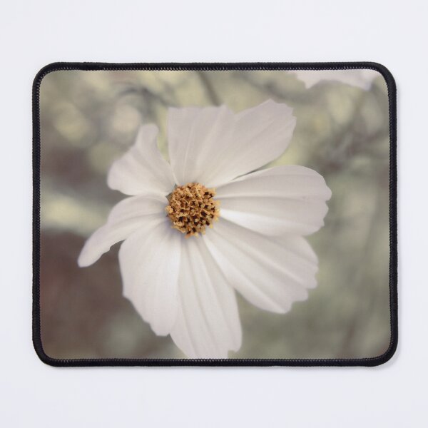 Item preview, White Cosmos Early Vega designed and sold by Tanya C  Smith.