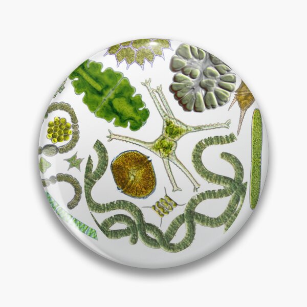 Item preview, Algae Shirt designed and sold by IvoryThorn.