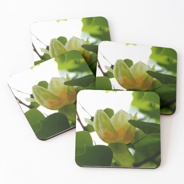 Item preview, Tulip Tree Flower designed and sold by SquaresArt.