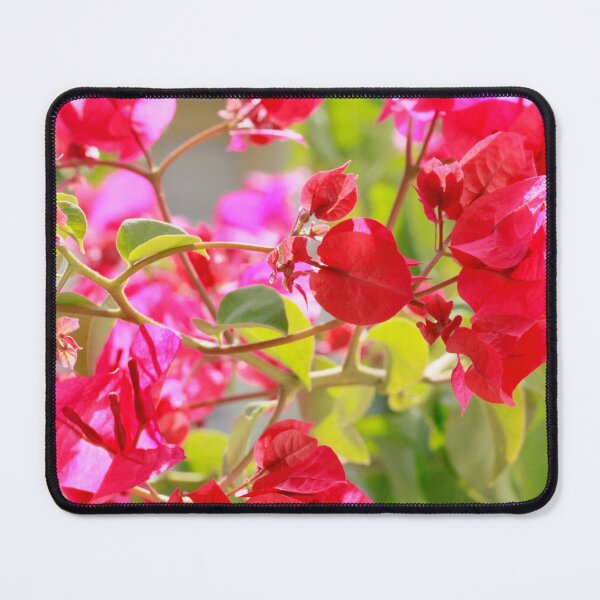 Item preview, Bougainvillea spectabilis designed and sold by Tereza Pilar Art.