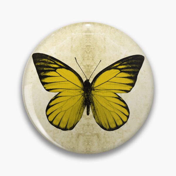 Item preview, Yellow Sawtooth Butterfly Wings Spread Specimen Entomology Study designed and sold by Ghoul Enterprises.