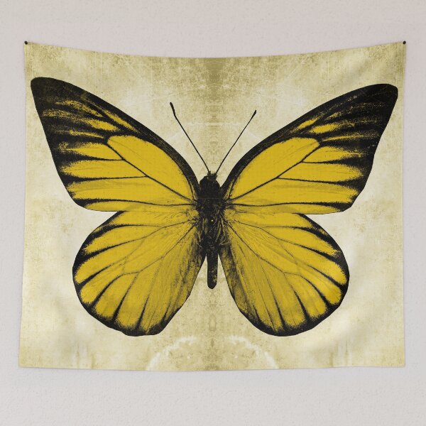 Item preview, Yellow Sawtooth Butterfly Wings Spread Specimen Entomology Study designed and sold by Ghoul Enterprises.