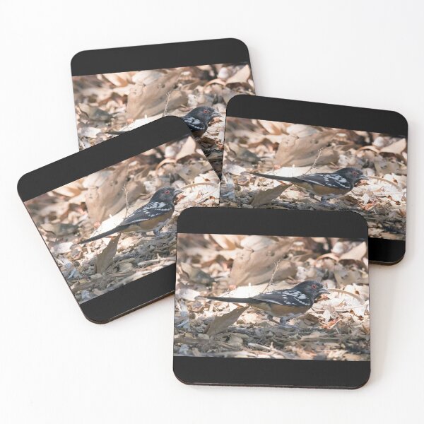 Item preview, Spotted Towhee Bird designed and sold by CarolM.