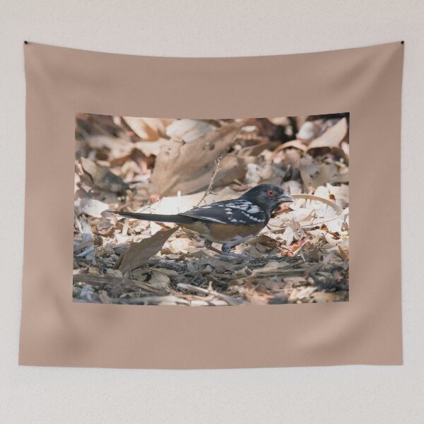 Item preview, Spotted Towhee Bird designed and sold by CarolM.