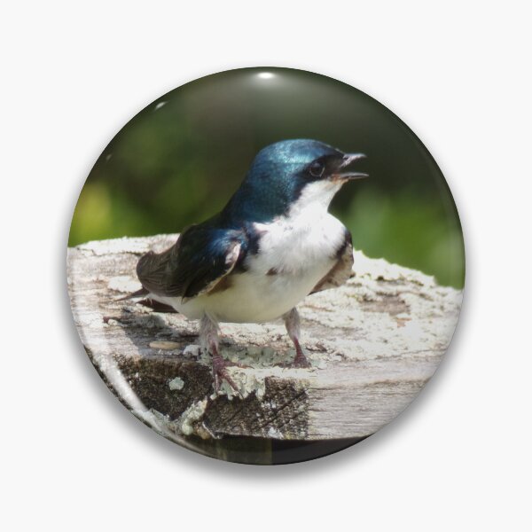 Item preview, Swallow's Lookout designed and sold by SquaresArt.