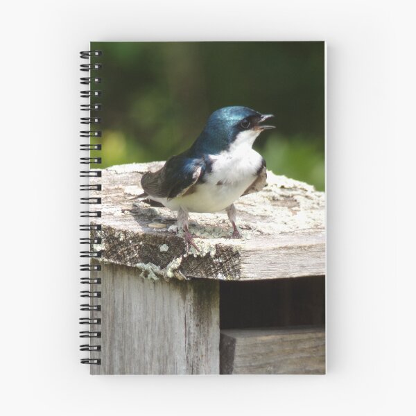 Item preview, Swallow's Lookout designed and sold by SquaresArt.