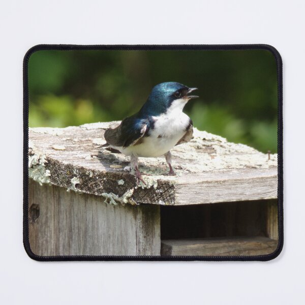 Item preview, Swallow's Lookout designed and sold by SquaresArt.