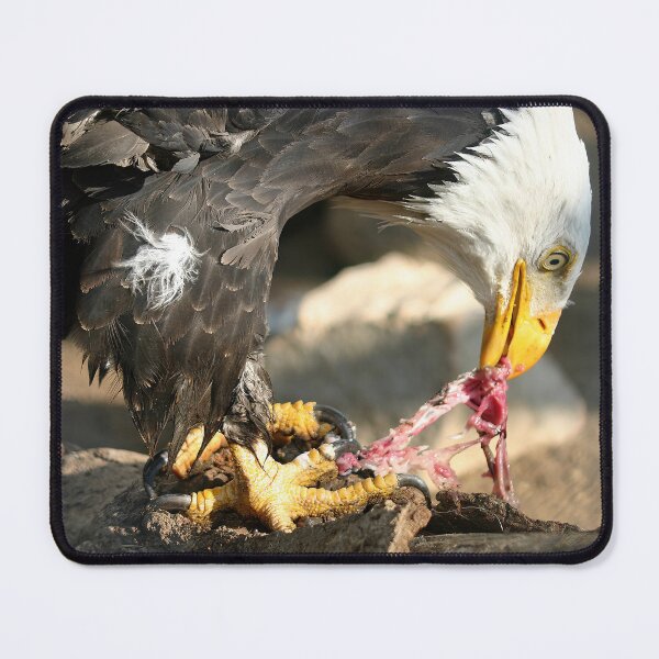 Item preview, Bald Eagle Enjoying Dinner designed and sold by CarolM.