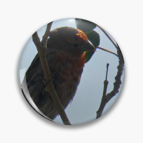 Item preview, House Finch on Branch designed and sold by WilesNailsPower.