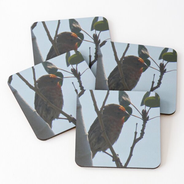 Item preview, House Finch on Branch designed and sold by WilesNailsPower.