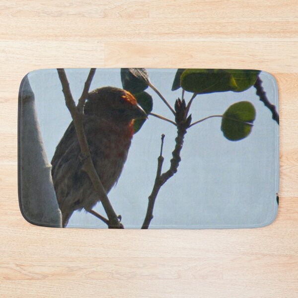 Item preview, House Finch on Branch designed and sold by WilesNailsPower.