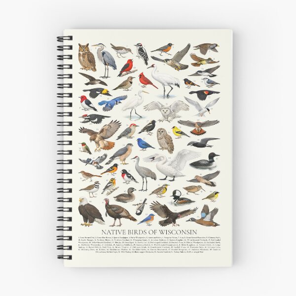 Item preview, Native Birds of Wisconsin Retro Identification Chart designed and sold by kakarikihill.