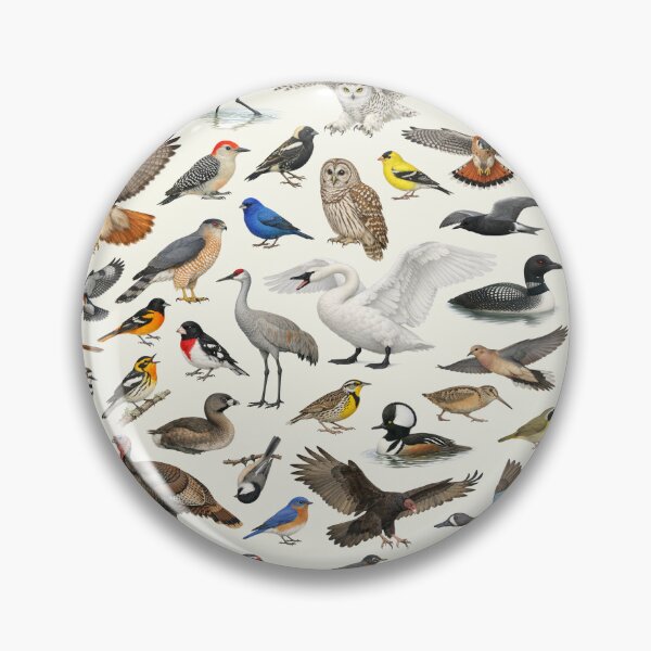 Item preview, Native Birds of Wisconsin Retro Identification Chart designed and sold by kakarikihill.
