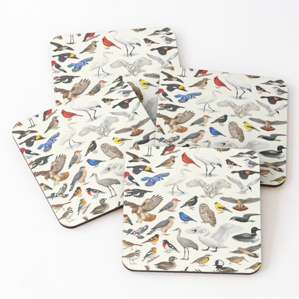 Item preview, Native Birds of Wisconsin Retro Identification Chart designed and sold by kakarikihill.