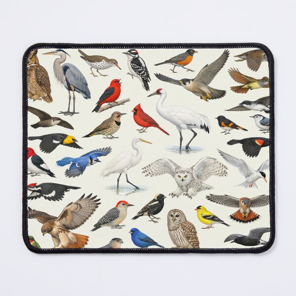 Item preview, Native Birds of Wisconsin Retro Identification Chart designed and sold by kakarikihill.