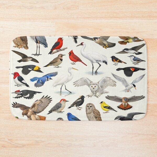 Item preview, Native Birds of Wisconsin Retro Identification Chart designed and sold by kakarikihill.