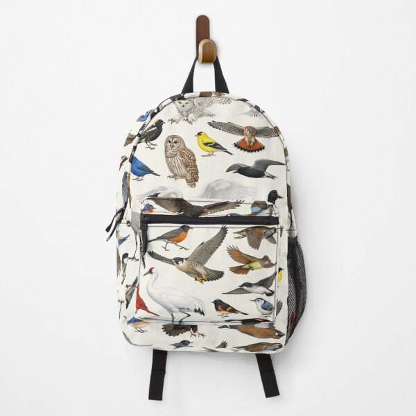Item preview, Native Birds of Wisconsin Retro Identification Chart designed and sold by kakarikihill.