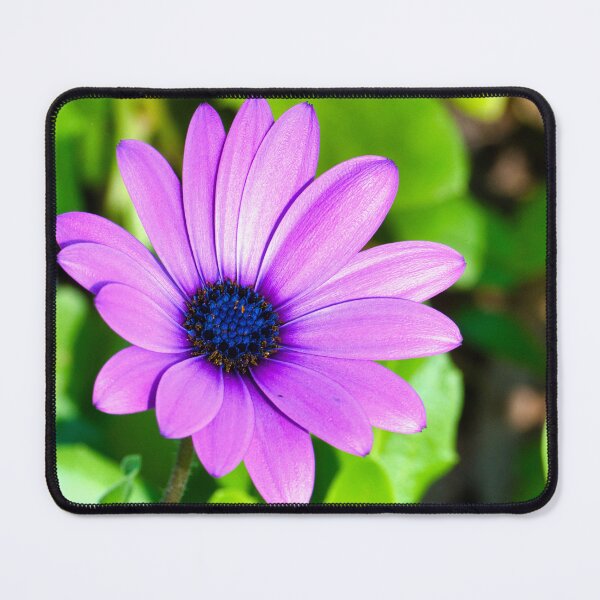 Item preview, Violet Radiance designed and sold by wendyhattonphotography.