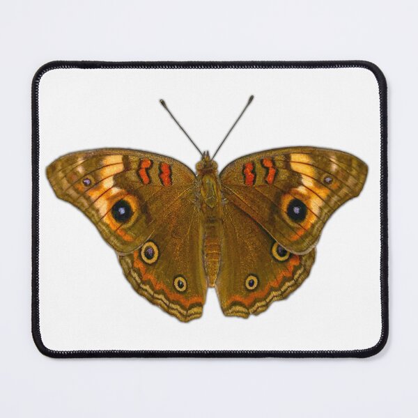 Item preview, Junonia designed and sold by enrikepaz.
