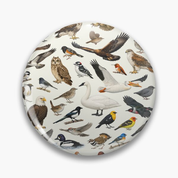 Item preview, Native Birds of Wyoming Retro Identification Chart designed and sold by kakarikihill.