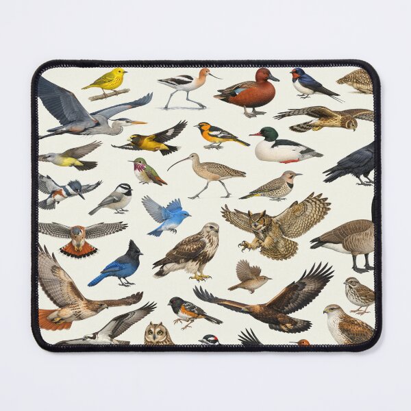 Item preview, Native Birds of Wyoming Retro Identification Chart designed and sold by kakarikihill.