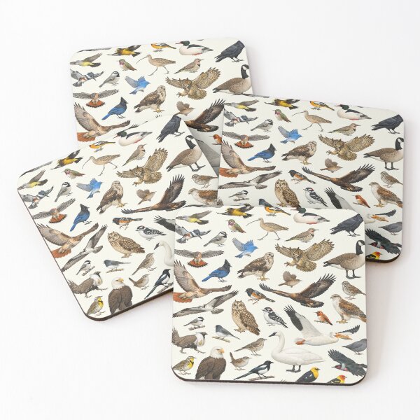 Item preview, Native Birds of Wyoming Retro Identification Chart designed and sold by kakarikihill.