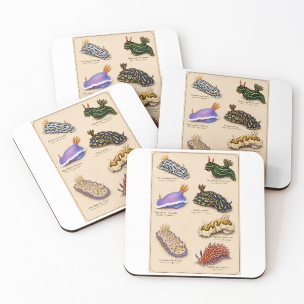 Item preview, Colorful Nudibranchs Vintage Scientific Illustration designed and sold by Extravanganzza.