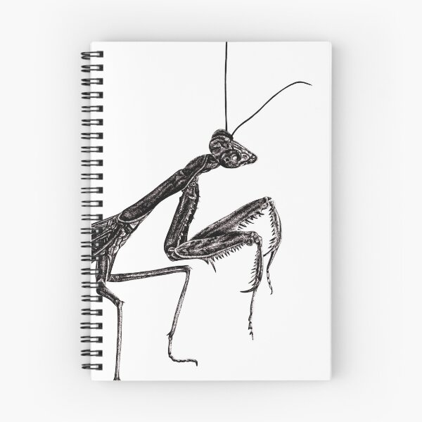 Item preview, Madagascan marbled praying mantis illustration designed and sold by LorenDowding.