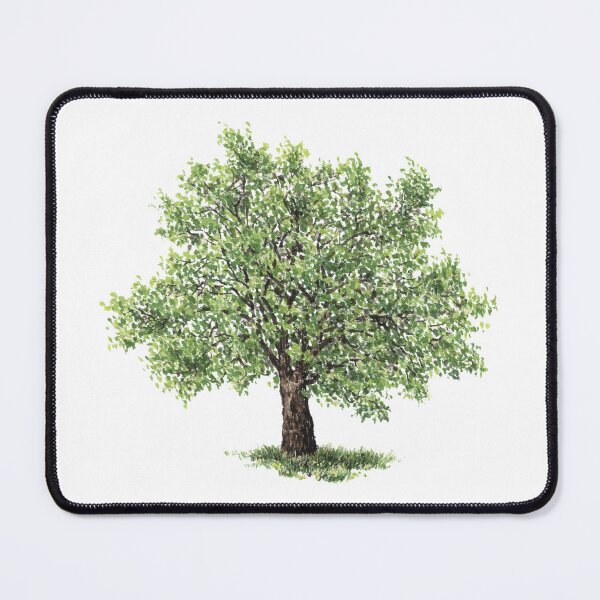Item preview, July birthday Walnut Tree designed and sold by 366birthflower.