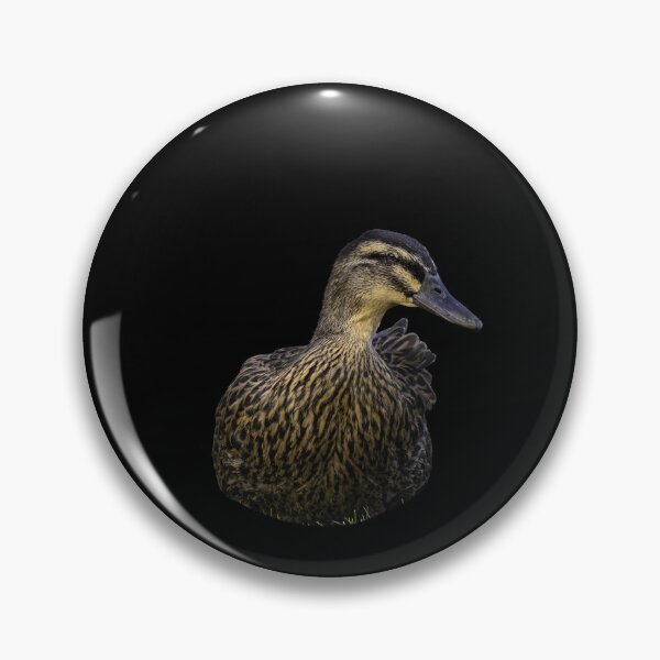 Item preview, Quiet Grace of the Female Mallard designed and sold by Elwynn WildLight Photography.