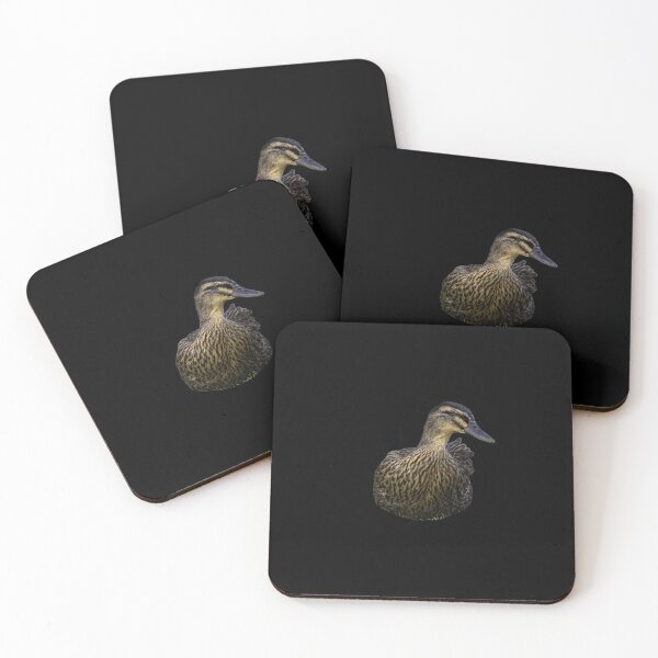 Item preview, Quiet Grace of the Female Mallard designed and sold by Elwynn WildLight Photography.