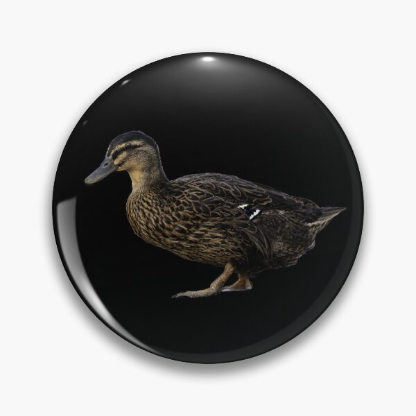 Item preview, Stride of the Wild Mallard Hen designed and sold by Elwynn WildLight Photography.
