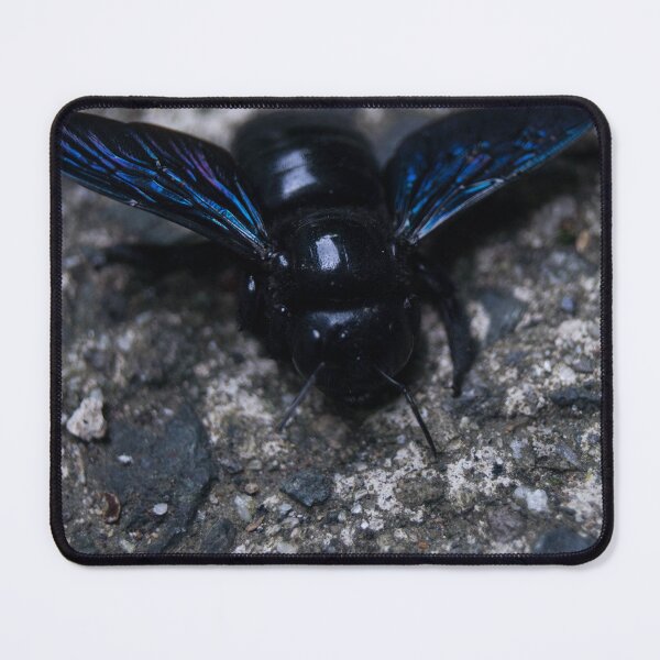Item preview, Violet or Tropical Carpenter Bee designed and sold by ROSE ANN BANILAR.