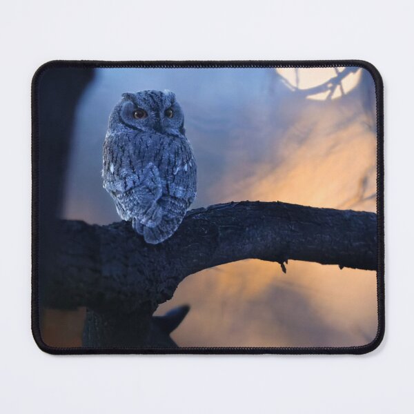 Item preview, Blooming Acronym Brand bGarden Owl designed and sold by Joananature.