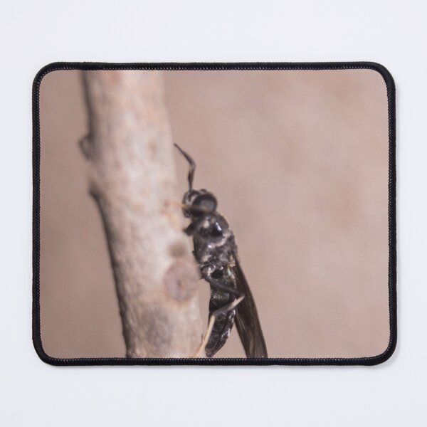Item preview, Black Soldier Fly designed and sold by ROSE ANN BANILAR.