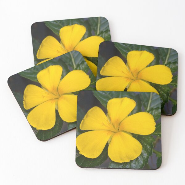 Item preview, Aliso amarillo o Dashalong de cabra designed and sold by ROSE ANN BANILAR.