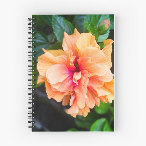 Item preview, Double Orange Tropical Hibiscus designed and sold by ROSE ANN BANILAR.
