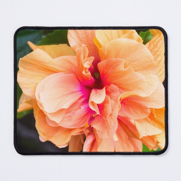Item preview, Double Orange Tropical Hibiscus designed and sold by ROSE ANN BANILAR.