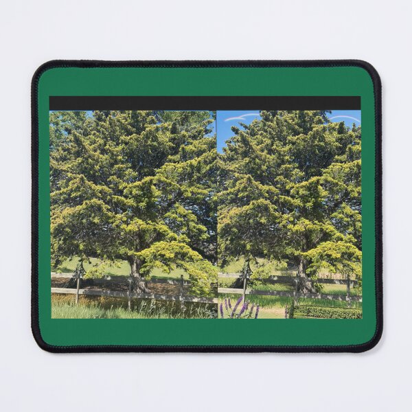 Item preview, Forrest designed and sold by Bloom Sketcher$.