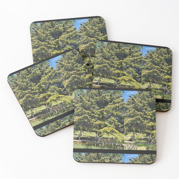 Item preview, Forrest designed and sold by Bloom Sketcher$.