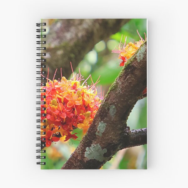 Item preview, Orange flowers growing in the wet tropics rainforest designed and sold by jaynerushton.