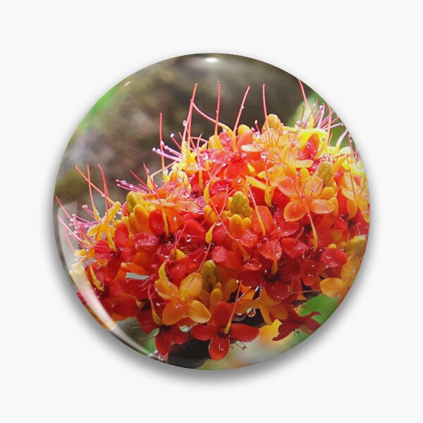 Item preview, Orange flowers growing in the wet tropics rainforest designed and sold by jaynerushton.