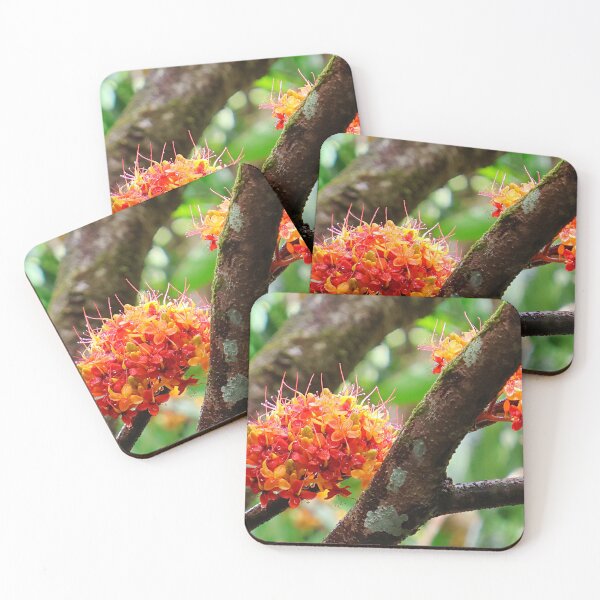 Item preview, Orange flowers growing in the wet tropics rainforest designed and sold by jaynerushton.