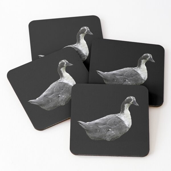 Item preview, Gray Muscovy Duck designed and sold by Elwynn WildLight Photography.