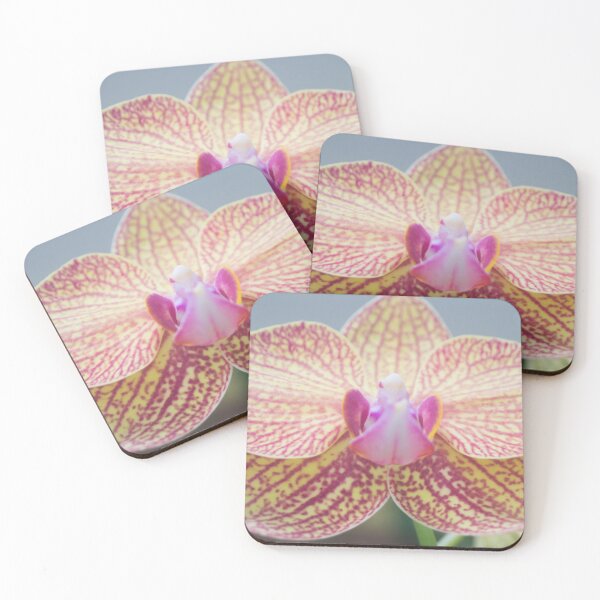 Item preview, moth orchid designed and sold by ROSE ANN BANILAR.